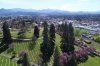 DJI_0026 (2).jpg
