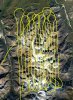 Fairbanks Fodar flight lines.jpg
