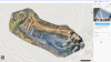 1588870885420.png