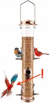 Amazon Birdfeeder.jpg