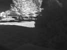 IMG_230520_132925_0000_NIR.jpeg