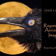 RayvenEye