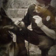 K9Pilot955