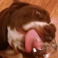 BrownHound