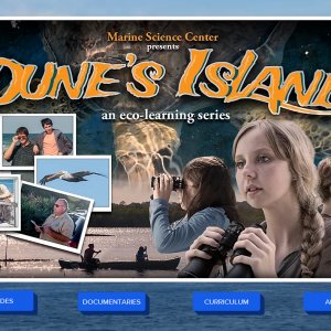 Dune's Island Wix Site Image_v002.jpg