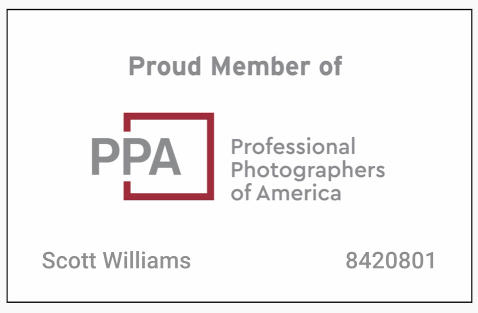 PPA Member Badge SM.jpg