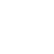 The Editor